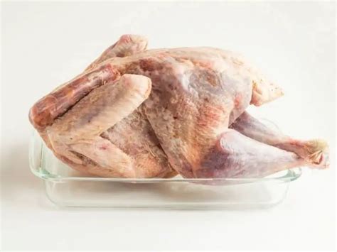 Can You Freeze Raw And Cooked Turkey Expert Advice Kitchenous