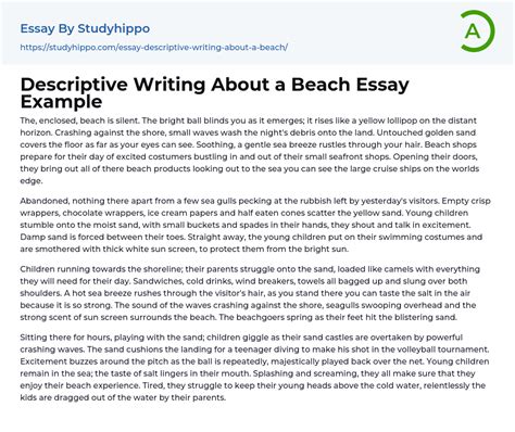 Descriptive Writing About A Beach Essay Example