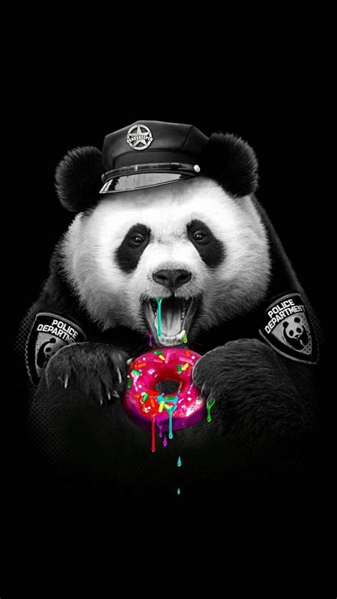 Gangster Panda Wallpapers Top Những Hình Ảnh Đẹp