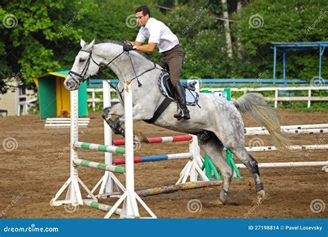 Jockey In Glasses Jump On Horse Stock Photo Image Of Nature Green
