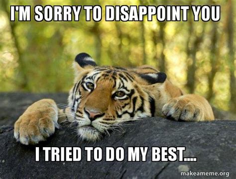 Im Sorry To Disappoint You I Tried To Do My Best Confession Tiger Make A Meme