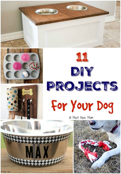11 Diy Projects For Your Dog Diy Dog Stuff Dog Games Dogs Diy