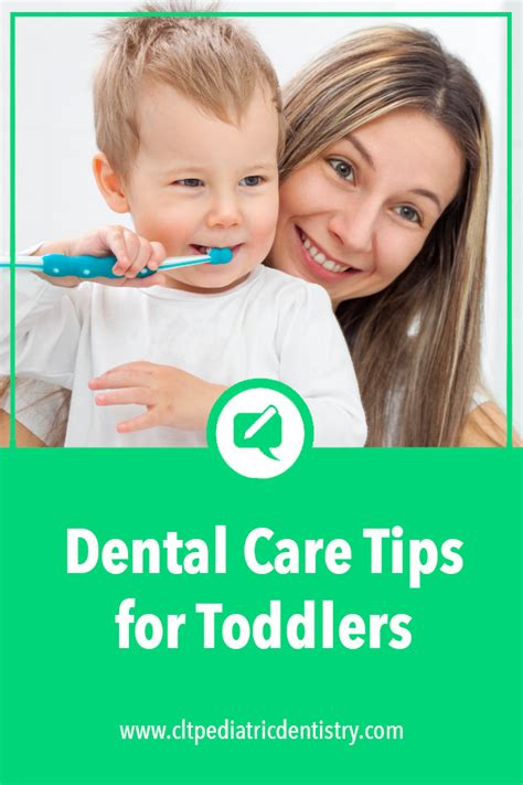 Dental Care Tips For Toddlers Dental Care Dental Dental Facts