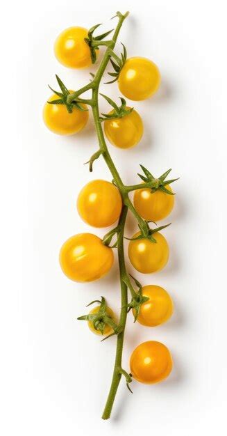 Premium Ai Image Yellow Cherry Tomatoes On A Twig