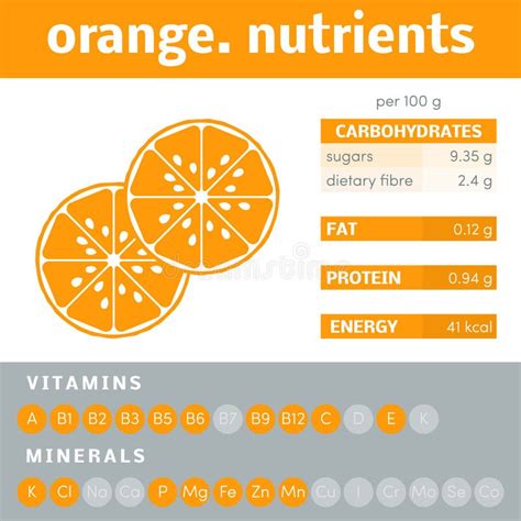 Orange Infographic Stock Illustration Illustration Of Calories 75210957