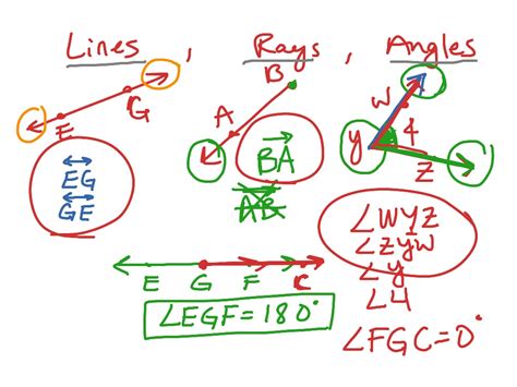 Notation For Rays Lines And Angles Math Geometry Lines Rays