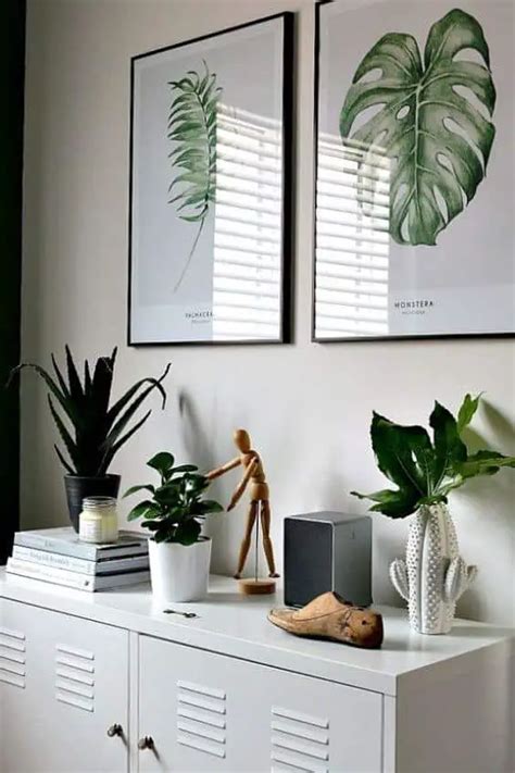 3 Office Plants Youll Want To Adopt