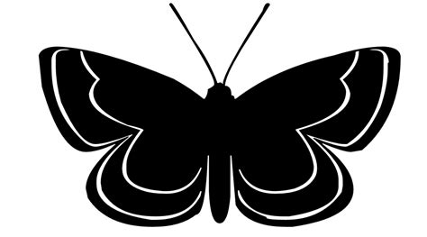 Butterfly Silhouette Clip Art Clipart Best