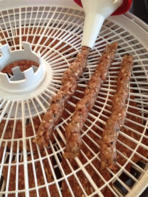 And be sure to watch my video about how to load the jerky gun. How to Make Beef Jerky With a Dehydrator | Delishably