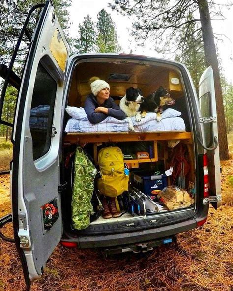 How To Vanlife With A Dog Longterm Van Life Campervan Camping Trips