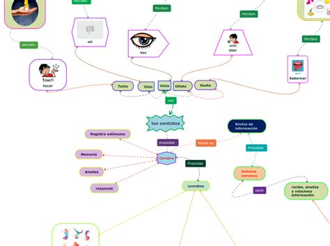 Los Sentidos Mapa Mental