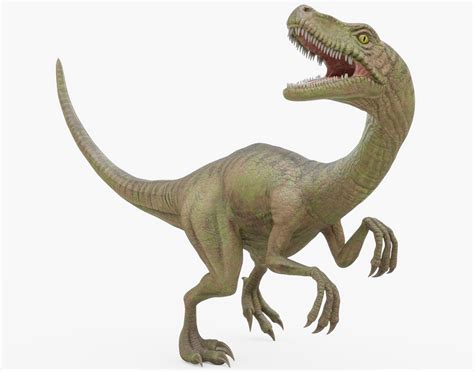 Velociraptor Rigged 3d Asset Cgtrader