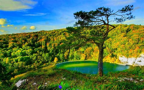 1080p Free Download Bavarian Lake Bavaria Landscape Trees Germany