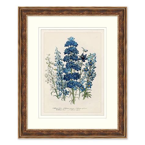 Blue Florals 1 Framed Botanical Print Wall Art Bed Bath And Beyond In