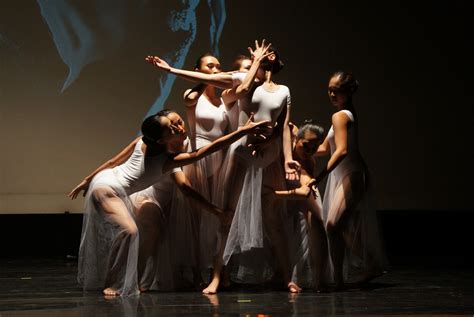 Graceful Dance Recital Highlights Unity In Diversity Art And Culture