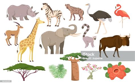 Stock Ilustrace Africká Flóra A Fauna Africká Zvířata Rostliny Ptáci A