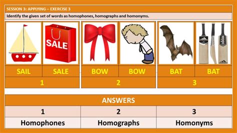Homophones Homographs Homonyms Unit Lesson Plan Teaching Resources