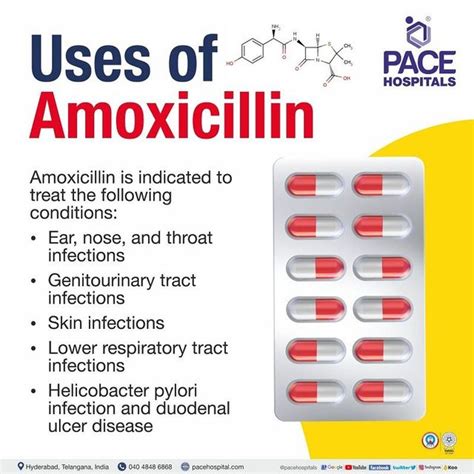 What Is Amoxil Good For Understanding Its Uses