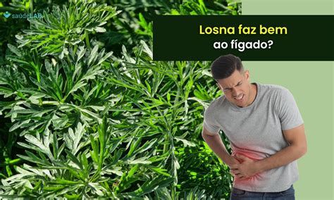 Cipó Cruz é Bom Para O Fígado