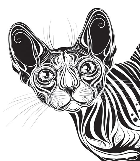 Learn how to draw cartoon pictures using these outlines or print just for coloring. Sphynx cat on Behance