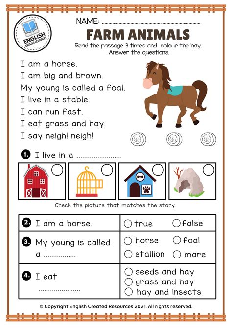 Reading Comprehension Farm Animals English Created Resources