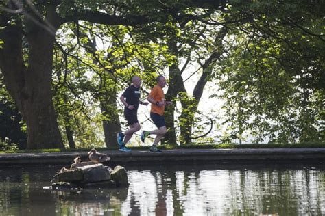 Picture Gallery Dewsbury Parkrun Inspires Personal Best Runs