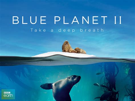 Watch Blue Planet Ii Season 1 Prime Video