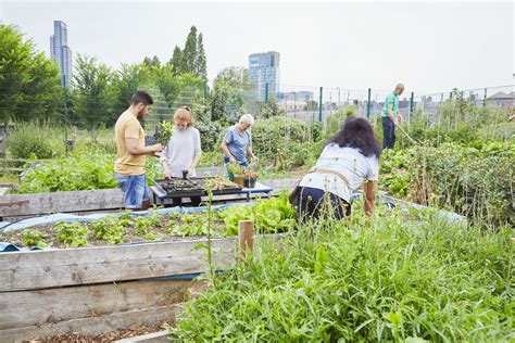 Are You Wondering How to Start a Community Garden?
