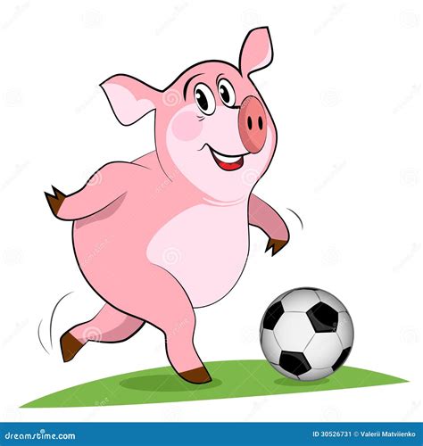 Pig Play A Football Stock Image Image 30526731