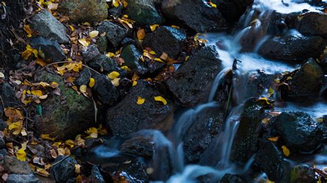 Free Images Nature Rock Waterfall Leaf Stream Autumn Body Of