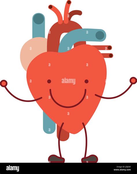 Colorful Silhouette Caricature With Happy Face Circulatory System With