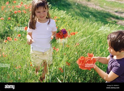 Girls Picking Wildflowers Stock Photo Alamy