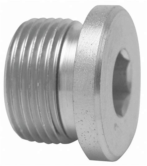 12 Inch Stainless Steel Hollow Hex Plug For Plumbing Pipe At Rs 100