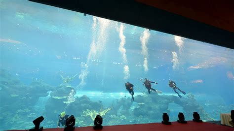 Cube Oceanarium Chengdu China Advanced Aquarium Technologies