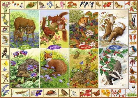1000 Piece Jigsaw Puzzle Seasonal Garden Birds