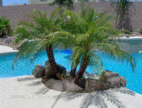 24 Amazing Small Palm Trees Gardening Ideas For Backyard Below Are