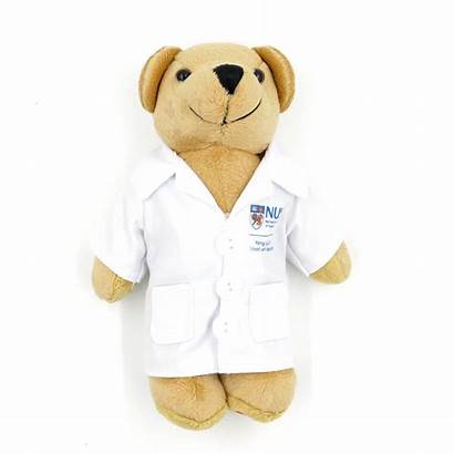 Teddy Bear Singapore Customisation Sg Bears Gift