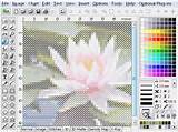 Picture To Cross Stitch Software Pictures
