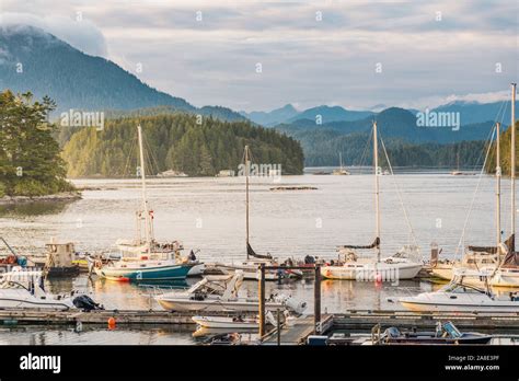 Tofino Harbour Vancouver Island British Columbia Canada Stock Photo