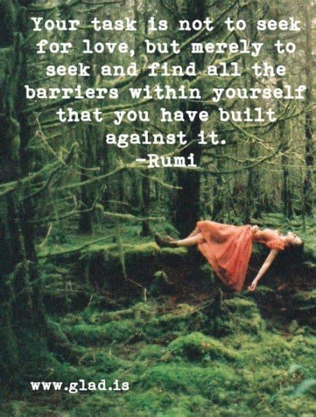 35 Rumi Quotes On Life Dreams And Trust So Inspirational