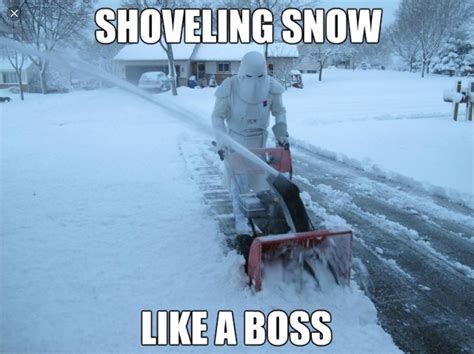 Pin By Pandemedium On Meme Funny Pictures Funny Snow Humor