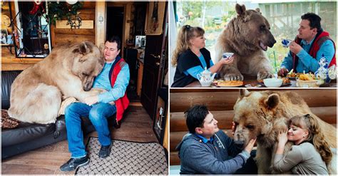 russian couple still resides together 23 years after adopting orphaned bear