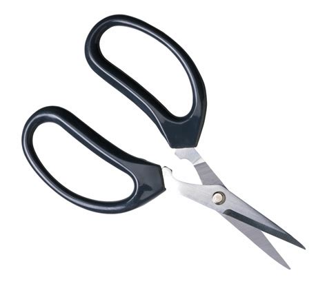 Free Scissors Clipart Transparent Download Free Scissors Clipart Transparent Png Images Free