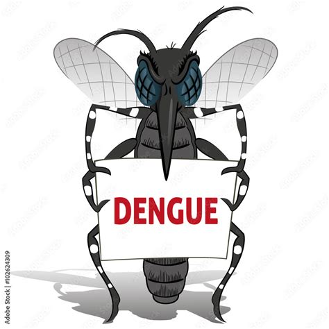 Aedes Aegypti Mosquito Stilt Holding Poster Dengue Stock Vector Adobe