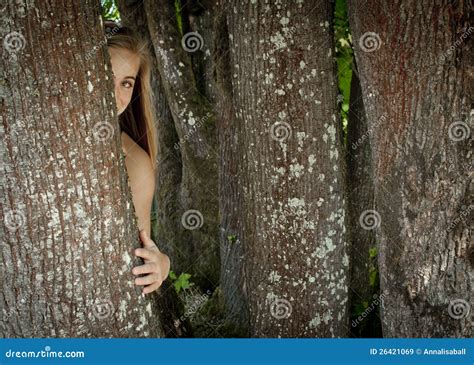 Muchacha Que Oculta Detrás De Un árbol Imagen De Archivo Imagen De Maderas Bosque 26421069