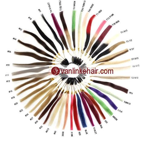 Color Ring With 43 Sample Human Hair Color Chart For Human Hair Exten