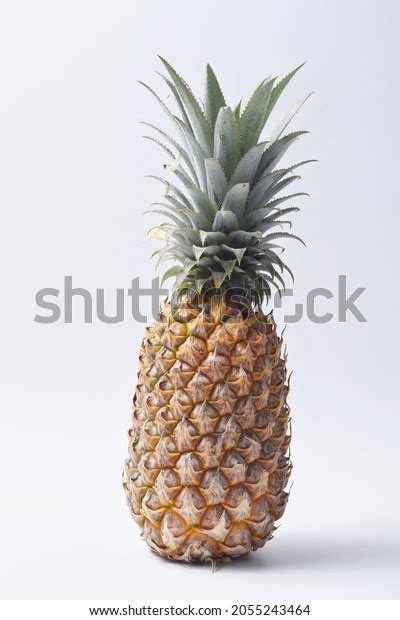 1364 Phuket Pineapple Images Stock Photos And Vectors Shutterstock