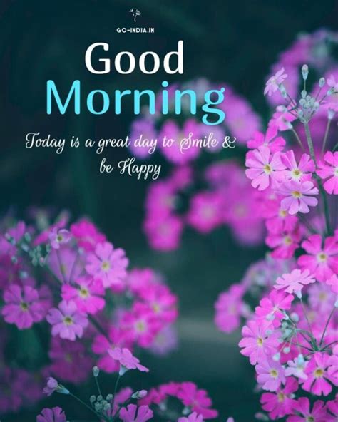 190 Beautiful Good Morning Images Latest Collection