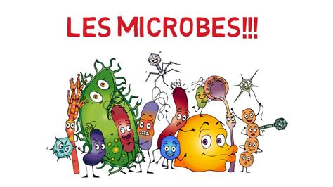 Microbes 101 Un Cours Pour Démystifier Ces Micro Organismes
