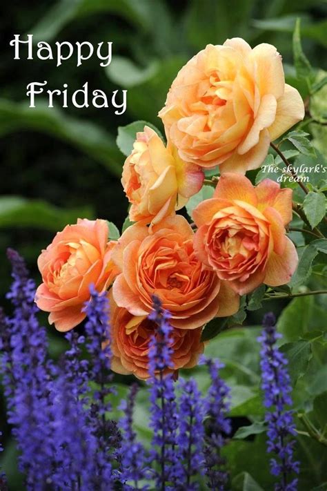 Happy Friday Flowers Image Quote Pictures Photos And Images For